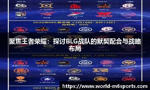 聚焦王者荣耀：探讨BLG战队的默契配合与战略布局